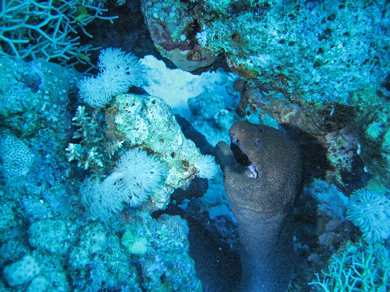 2009-12-04 10-52-15S.jpg